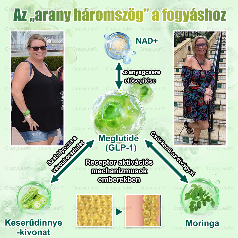 CrazyLeaf® Meglutide GLP-1 Aktiváló Orális Oldat – Moringa • NAD+ • Yerba Mate – Természetes támogatás fogyáshoz, öregedésgátláshoz és cukoranyagcseréhez